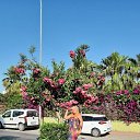 ���� ���������, �����-��������� - ��������� 1 ���� 2019 � ������ ���������� ������