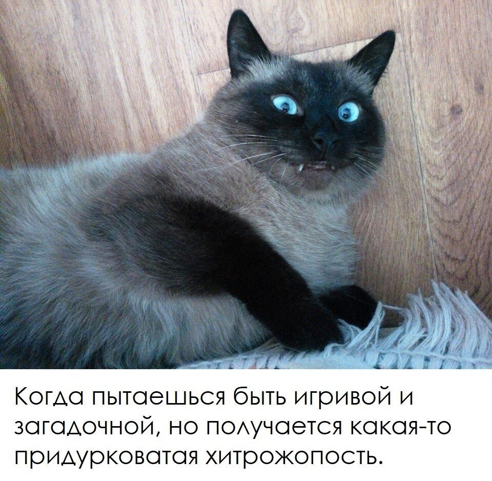 ***Victoria Viktorovna*** - 29  2019  15:21