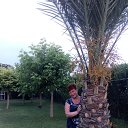 �� ������. �� ������� ���� ����������