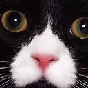 ���� �����, �����-��������� - ��������� 3 ������ 2019 � ������ ���� ����������