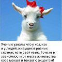 ���� Al2 O3, ���� - ��������� 28 ���� 2019 � ������ ���� ����������