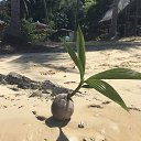   ............., , 48  -  21  2019