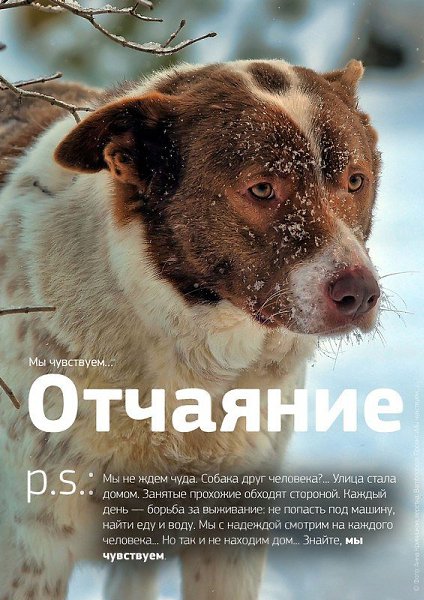    ! - 3