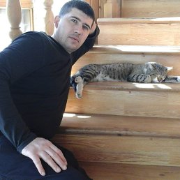 ����, 46 ���, ���������