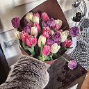 ���� Olya, ���������� - ��������� 16 ��� 2019 � ������ ���� ����������