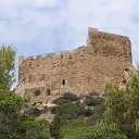 ���� ��������, �������, 74 ���� - ��������� 8 �������� 2019 � ������ ��������.�.�������.�