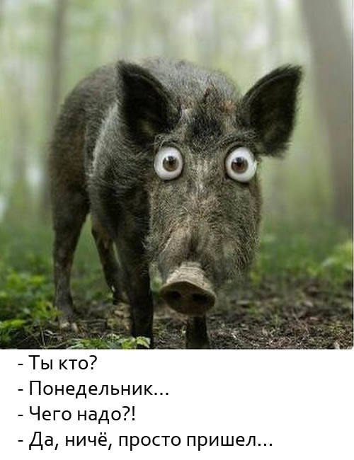 ***Victoria Viktorovna*** - 19  2019  08:24