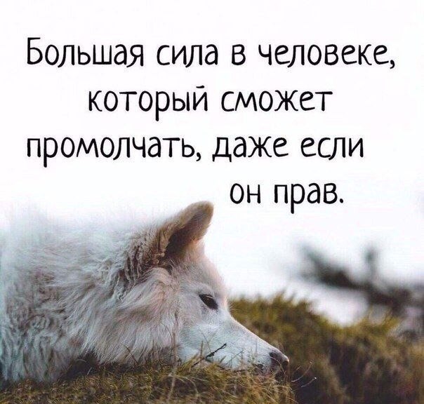   . . . - 29  2019  02:31