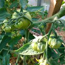 ���� ���������, ���������, 59 ��� - ��������� 18 ���� 2019 � ������ ���� ����������