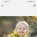 ���� ��, �����-���������, 67 ��� - ��������� 11 ���� 2019 � ������ ���� ����������