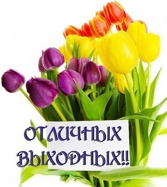   ,    . - 12  2019  19:02