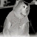  , , 57  -  25  2019   ?