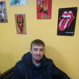 �������, ������, 46 ���