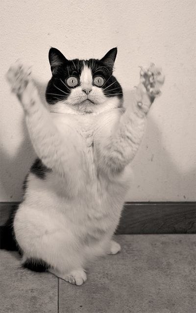  5 ,  ,      ...)))