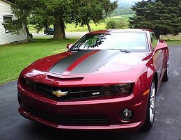 ���� �����, ���, 36 ��� - ��������� 10 ��� 2019