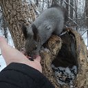 ��� ����. �� ������� ���� ����������