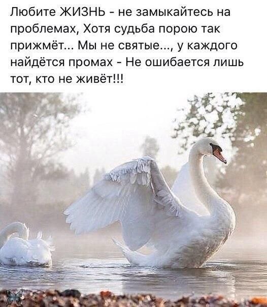 ₪╬═►  ||  ||  ◄═╬₪ - 8  2019  07:24