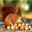 ���� ������, ���������-�������, 55 ��� - ��������� 6 ������� 2019