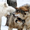 ���� ���, ������ - ��������� 12 ���� 2019 � ������ ������ ��������