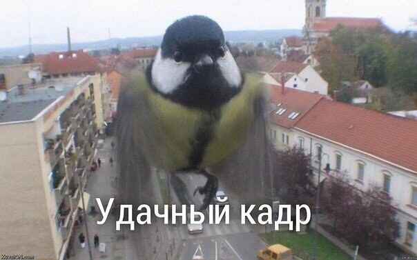 ? ,  ! - 16  2019  18:39