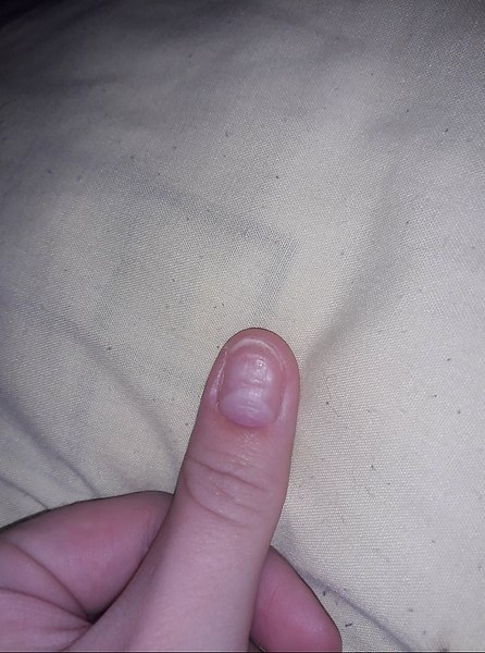 #@modnailru. ,  ?  ,    ,? ? ...