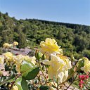  , , 50  -  1  2019   1 2019