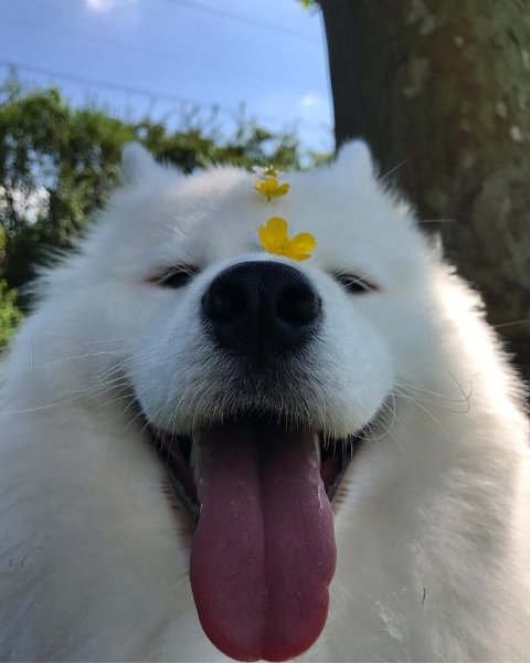��� ����������� ����, ��� ��� ��� - 3
