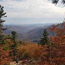 ���� �����, �����������, 63 ���� - ��������� 20 ������� 2019 � ������ ���� ����������