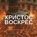 ���� ���������, �������, 63 ���� - ��������� 28 ������ 2019 � ������ ������ ��������