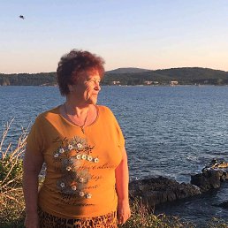 ���� ���������, ������������, 79 ��� - ��������� 26 ������� 2019