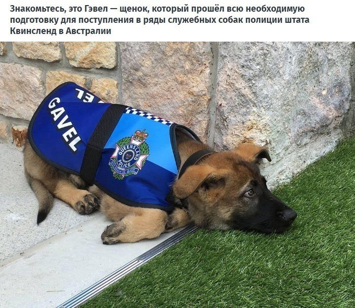 oo ca o  o o o coeeo o e...