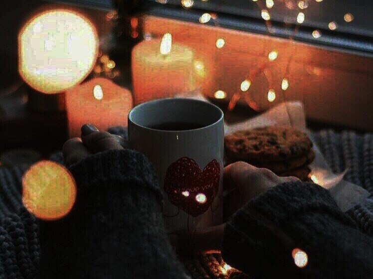 ���� - ��� ������: ��������, ����� � ������. ����� ���� ����� ����� ����� ��. - 5