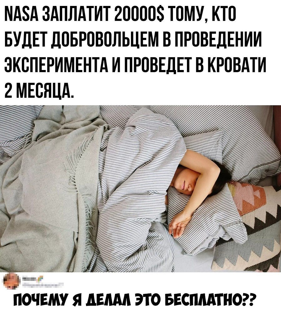    :D - 13  2019  03:41