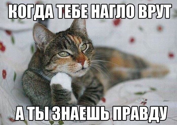    :D - 2  2019  17:29