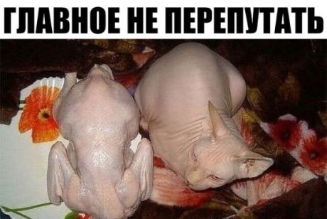 ₪╬═►  ||  ||  ◄═╬₪ - 14  2019  08:28