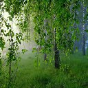 ���� ������, ������, 70 ��� - ��������� 28 ���� 2019 � ������ ������ ��������