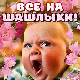 ���� ����, �����, 63 ���� - ��������� 2 ��� 2019