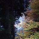 ���� ����, �����-���������, 45 ��� - ��������� 9 ������� 2019 � ������ ����������� ������