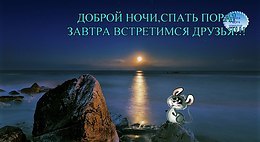   ,    . - 1  2019  22:42