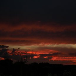 �������, �����������, 39 ���