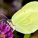 ���� ������, ������, 65 ��� - ��������� 1 ������� 2019 � ������ ���� ����������