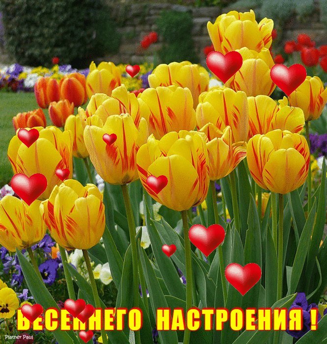   ,    . - 5  2019  15:45