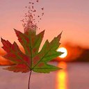 ���� Xxx, ������ - ��������� 14 �������� 2019 � ������ ���� ����������