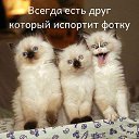���� ������, ���, 58 ��� - ��������� 23 ���� 2019 � ������ ���� ����������