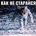  ,  -  17  2019    