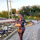 ���� ���������, ����, 72 ���� - ��������� 1 �������� 2019 � ������ ���� ����������