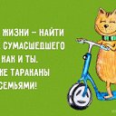 ���� ������, �������� - ��������� 13 ���� 2019 � ������ ������ ��������
