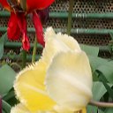 ���� �������, ���������, 61 ��� - ��������� 21 ���� 2019 � ������ ���� ����ۻ