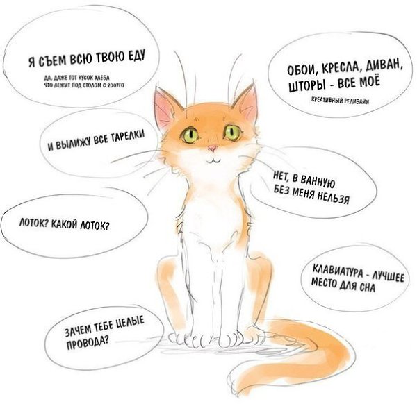   :