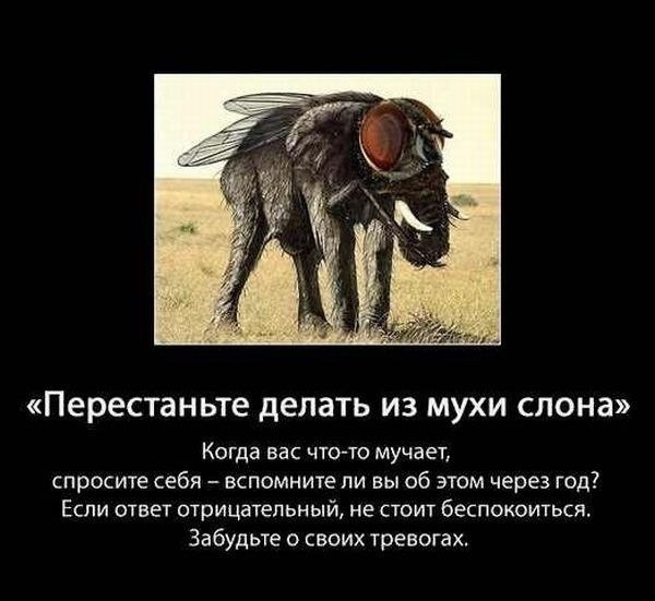    - 4